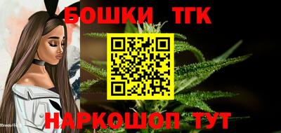 тгк Партизанск