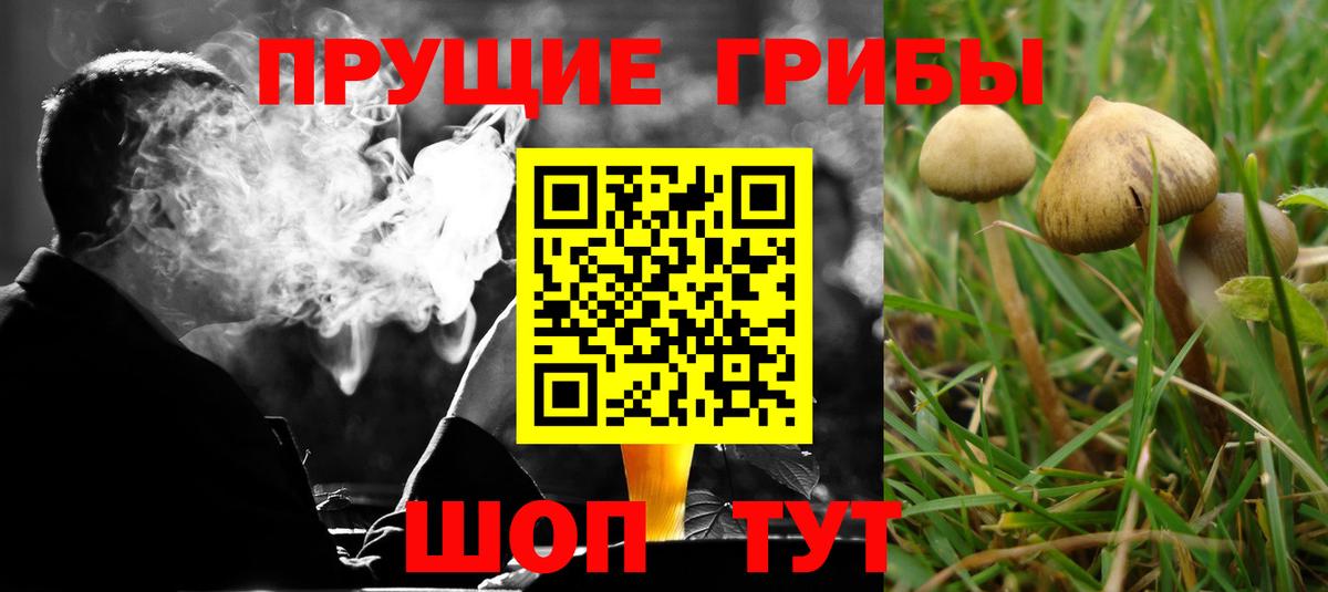 Галлюциногенные грибы мицелий  Вход с VPN  Галлюциногенные грибы мухоморы  Новочебоксарск 